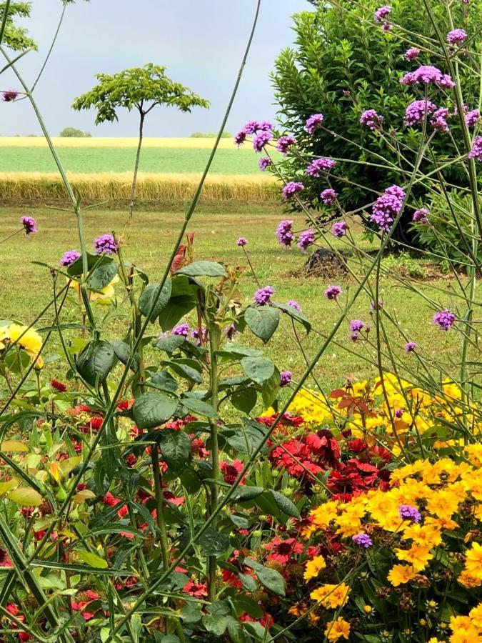 Lagalerne Bed & Breakfast Neuville-de-Poitou Bagian luar foto
