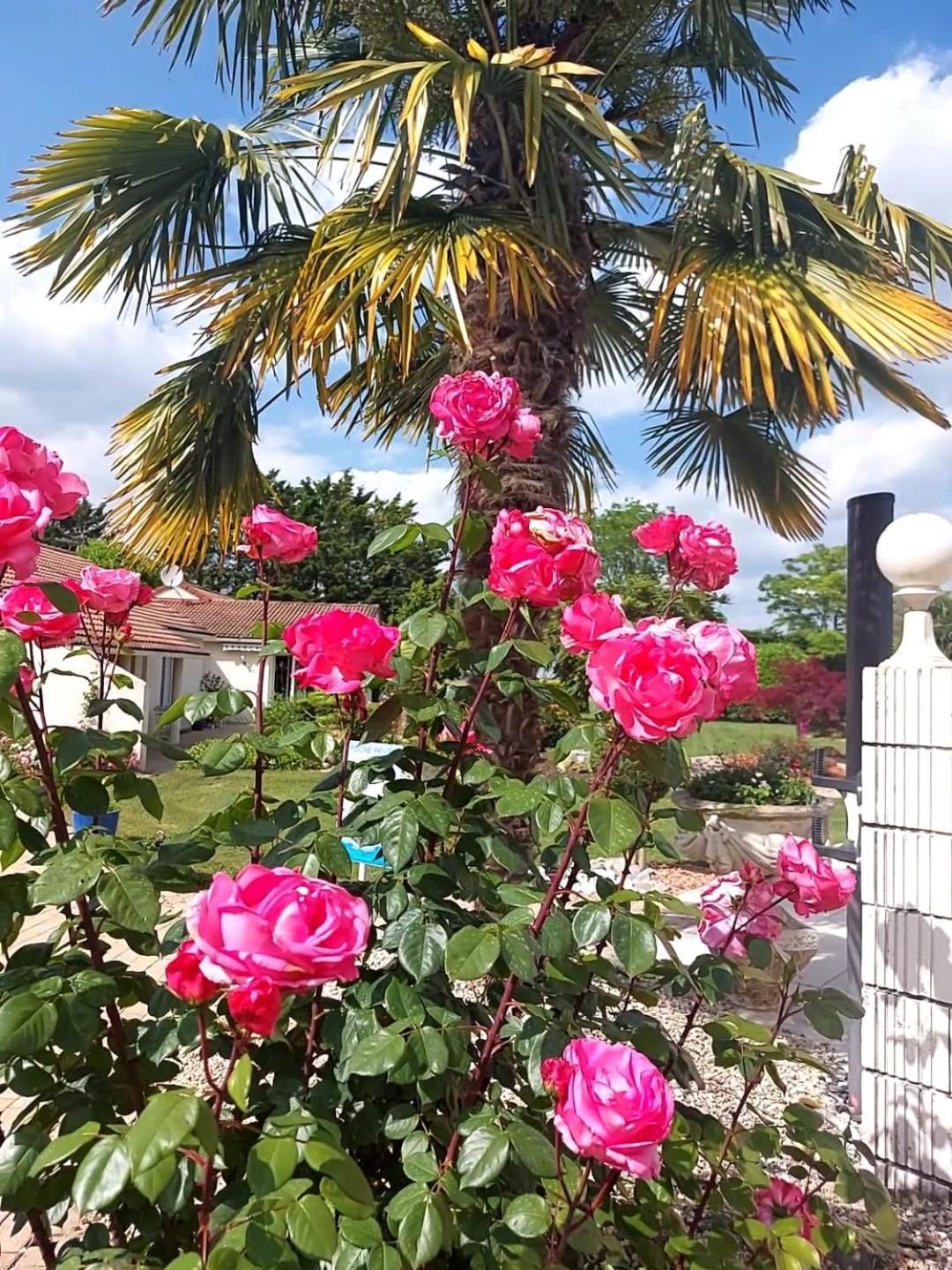 Lagalerne Bed & Breakfast Neuville-de-Poitou Bagian luar foto